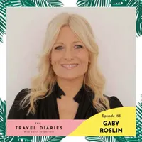 The Travel Diaries artwork