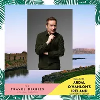 The Travel Diaries artwork
