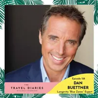 The Travel Diaries artwork
