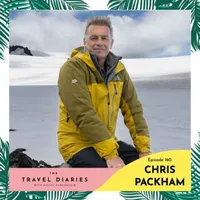 The Travel Diaries artwork