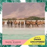 The Travel Diaries artwork