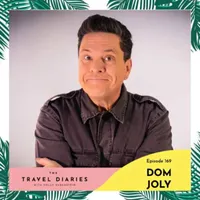 The Travel Diaries artwork