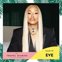 The Travel Diaries artwork