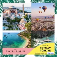 The Travel Diaries artwork
