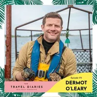 The Travel Diaries artwork