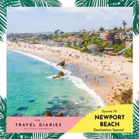 The Travel Diaries artwork