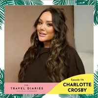 The Travel Diaries artwork