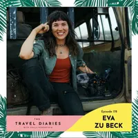The Travel Diaries artwork
