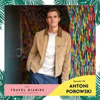 The Travel Diaries artwork