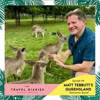 The Travel Diaries artwork