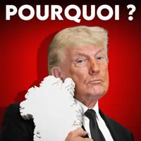 HugoDécrypte - Actus et interviews artwork