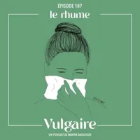 Vulgaire artwork
