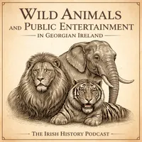 Irish History Podcast artwork