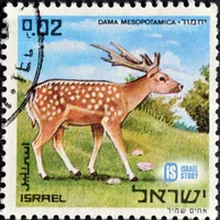 Israel Story artwork