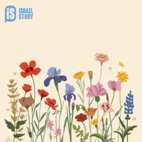 Israel Story artwork