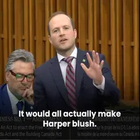 The Backbench artwork