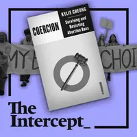 The Intercept Briefing artwork