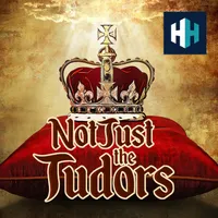 Not Just the Tudors artwork