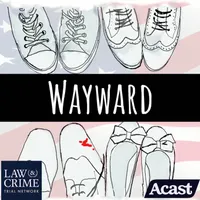 They Walk Among America - US True Crime artwork