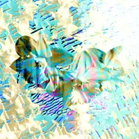 WOE.BEGONE artwork