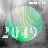 Third Ear artwork