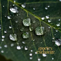The Poetry Exchange artwork
