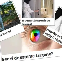 forskning.no artwork