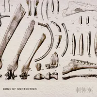 Kerning Cultures artwork