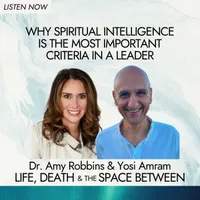 Life, Death & The Space Between with Dr. Amy Robbins artwork