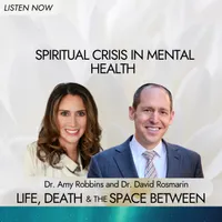 Life, Death & The Space Between with Dr. Amy Robbins artwork