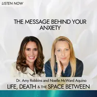 Life, Death & The Space Between with Dr. Amy Robbins artwork