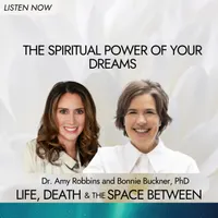 Life, Death & The Space Between with Dr. Amy Robbins artwork
