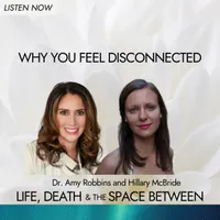 Life, Death & The Space Between with Dr. Amy Robbins artwork