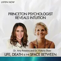 Life, Death & The Space Between with Dr. Amy Robbins artwork