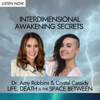 Life, Death & The Space Between with Dr. Amy Robbins artwork