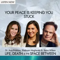 Life, Death & The Space Between with Dr. Amy Robbins artwork