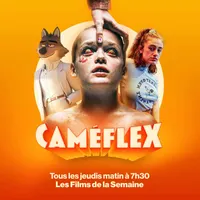 Caméflex artwork