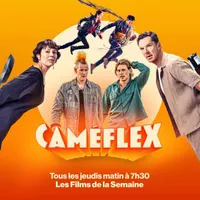 Caméflex artwork