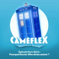 Caméflex artwork