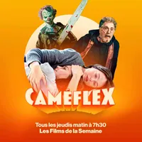 Caméflex artwork