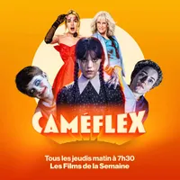 Caméflex artwork