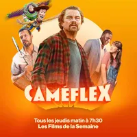 Caméflex artwork