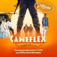 Caméflex artwork
