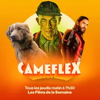 Caméflex artwork
