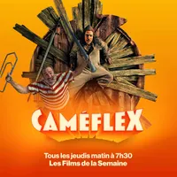 Caméflex artwork