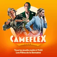 Caméflex artwork