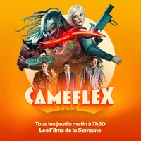 Caméflex artwork
