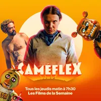 Caméflex artwork
