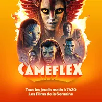 Caméflex artwork