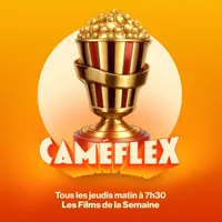 Caméflex artwork